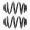 Coil Spring Set