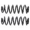 Coil Spring Set