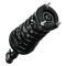 REAR Strut & Spring