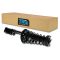 92-96 Toyota Camry w/2.2L Rear Strut & Spring Assy RR
