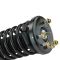 98-02 Honda Accord Front Strut Assembly LF