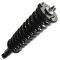 95-04 Toyota Tacoma 4WD Front Strut Assembly RF