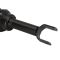 92-95 Honda Civic Rear Strut & Spring Assembly LR