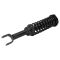 92-95 Honda Civic Rear Strut & Spring Assembly RR