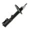 Strut Assembly