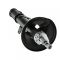 Strut Assembly