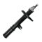 Strut Assembly