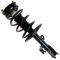 Strut & Spring Assembly