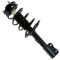 Strut & Spring Assembly