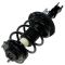 Strut & Spring Assembly