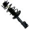 Strut & Spring Assembly
