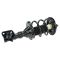 01-04 Acura EL; 01-02 Honda Civic 1.7L; 03-05 Civic Hybrid Front Strut & Spring Assy RF