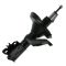 Strut Assembly