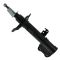 Strut Assembly