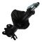 Strut Assembly
