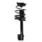 95-99 Dodge, Plymouth Neon Rear Strut & Spring Assy LR = RR