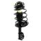 Strut & Spring Assembly