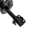 Strut & Spring Assembly