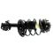 Strut & Spring Assembly