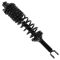 90-93 Honda Accord (exc SW) Rear Strut & Spring Assy LR