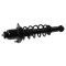 03-08 Toyota Corolla Rear Strut & Spring Assy RR