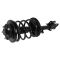 03-08 Honda Pilot Front Spring & Strut Assembly RF