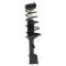 00-06 Hyundai Elantra Rear Strut & Spring Assy RR