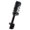 98-02 Forester Rear Strut & Spring Assembly RR