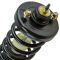 08-12 Honda Accord Rear Strut & Spring Assembly LR=RR