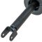08-12 Honda Accord Rear Strut & Spring Assembly LR=RR