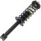 08-12 Honda Accord Rear Strut & Spring Assembly LR=RR