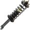 08-12 Honda Accord Rear Strut & Spring Assembly LR=RR