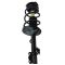 01-03 Toyota Highlander Front Strut & Spring Assembly RF