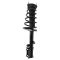 01-03 Toyota Highlander w/ FWD Rear Strut & Spring Assembly LR