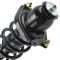 09-10 Toyota Corolla 2.4L (XRS); 09-13 Matrix FWD (exc. XRS) Rear Strut & Spring Assembly LR