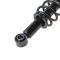 Strut & Spring Assembly