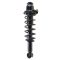 Strut & Spring Assembly