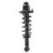 Strut & Spring Assembly
