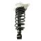 Strut & Spring Assembly