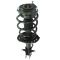 Strut & Spring Assembly
