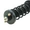 09-14 Acura TL Rear Strut & Spring Assembly LR