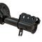 Strut & Spring Assembly