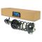 02-03  Mazda Protege5 Rear Strut & Spring Assembly LR