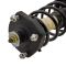 Strut & Spring Assembly