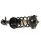Strut & Spring Assembly