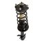 Strut & Spring Assembly