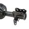 Strut & Spring Assembly