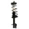 Strut & Spring Assembly