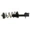 Strut & Spring Assembly