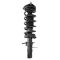 Shock & Spring Assembly